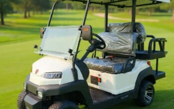 Luxuy Electric Golf Cart Sales