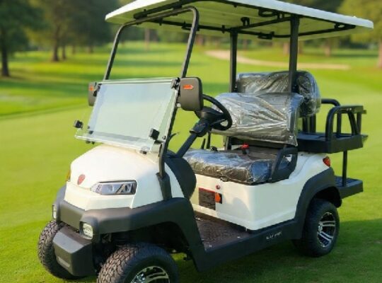 Luxuy Electric Golf Cart Sales
