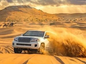 Taj Royal Travel & Tourism LLC