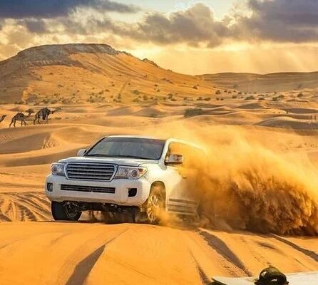 Taj Royal Travel & Tourism LLC