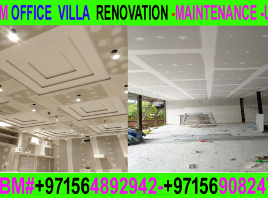 Renovation and Maintenance Repairing Contractor