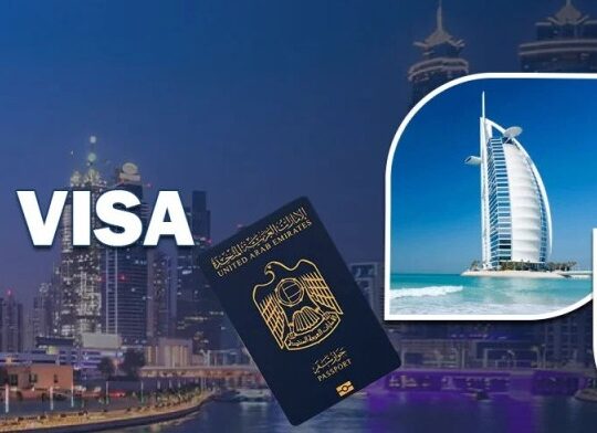 Multiple Entry Visa Planning Support