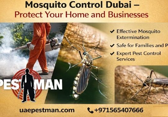Effective Mosquito Pest Control Dubai