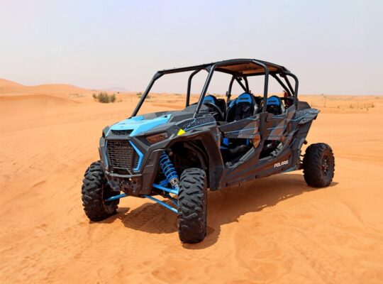 Experience Dubai Safari Wonders!