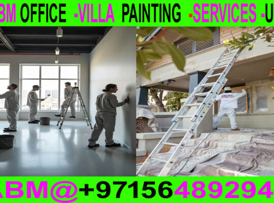 Building villa Painting & Maintenance Work in Duba