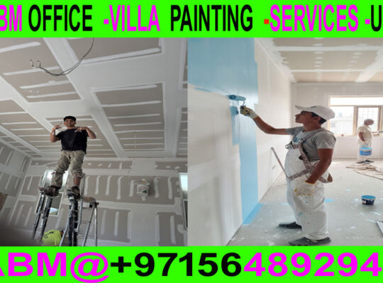 Building villa Painting & Maintenance Work in Duba