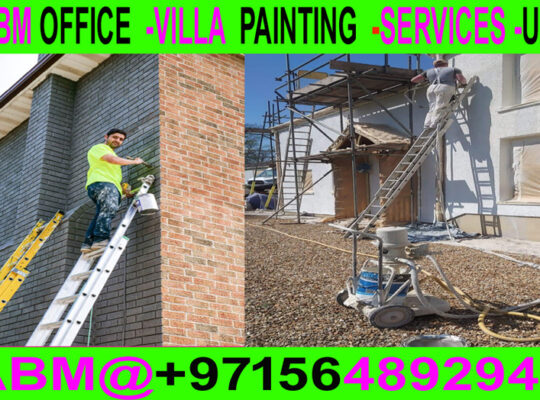 Building villa Painting & Maintenance Work in Duba
