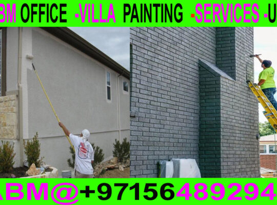 Building villa Painting & Maintenance Work in Duba