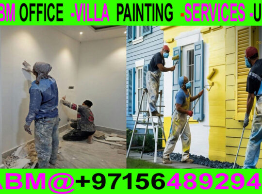 Building villa Painting & Maintenance Work in Duba